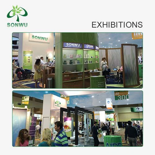 Purea Lidocaine Powder exhibition