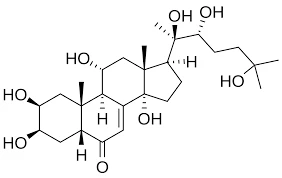 Turkesterone powder