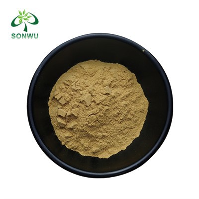 אבקת תמצית Coleus Forskohlii